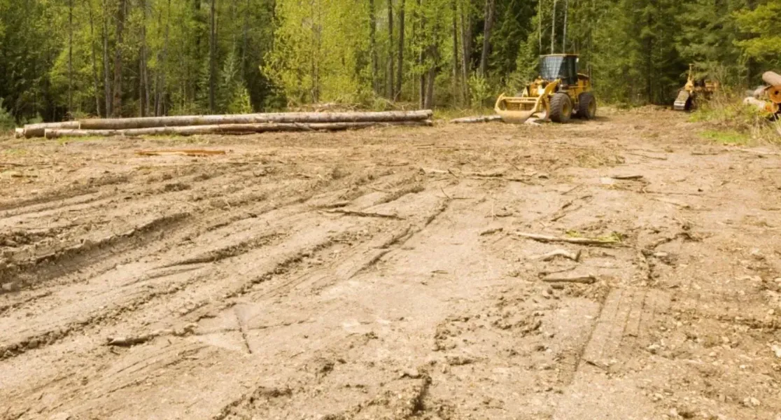 Excavation work in progress