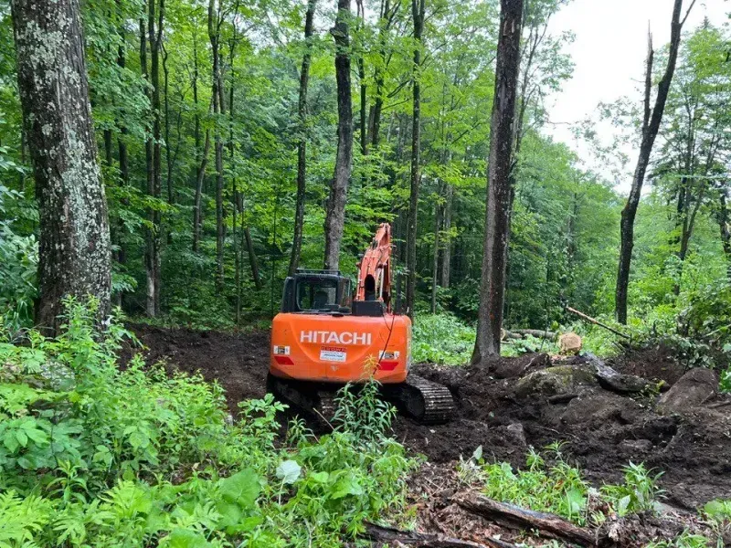 Orange Hitachi excavator clearing forest undergrowth